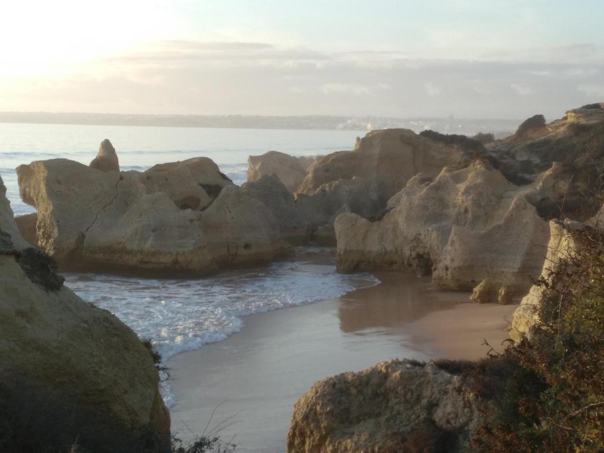 Wonder Villa Albufeira Dış mekan fotoğraf